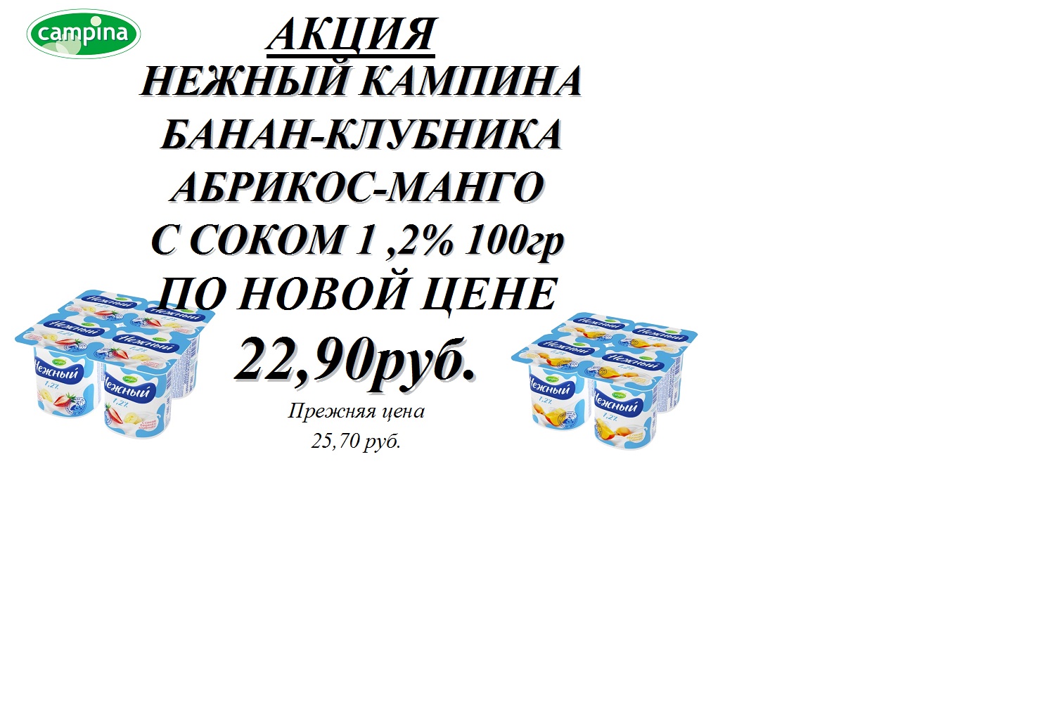 Йогурт КАМПИНА